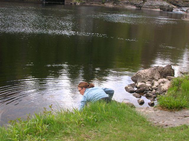 Aviemore-Fort William (112).JPG